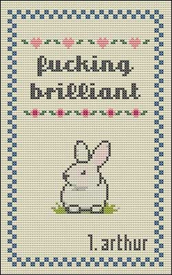 cover for Fucking Brilliant