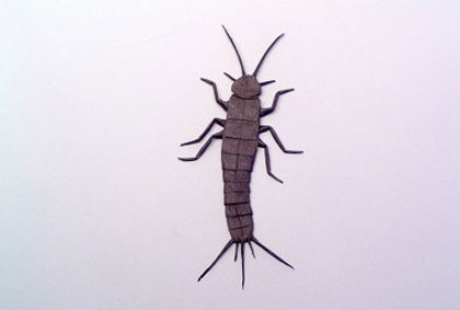 origami silverfish by Robert Lang