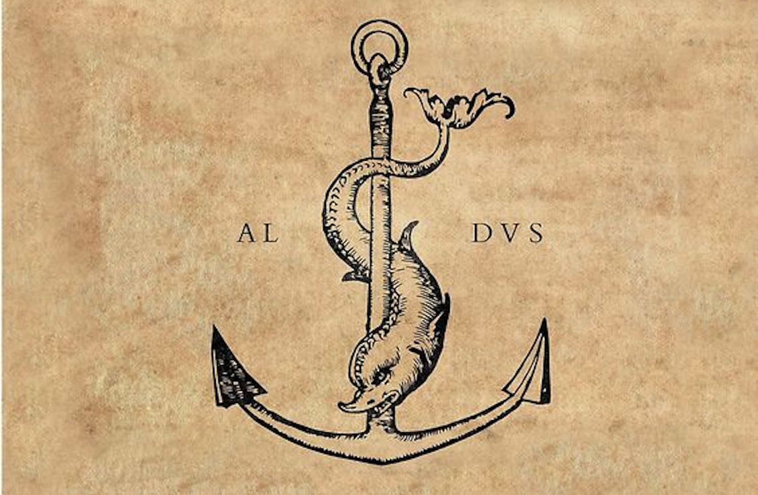 dolphin and anchor.jpg