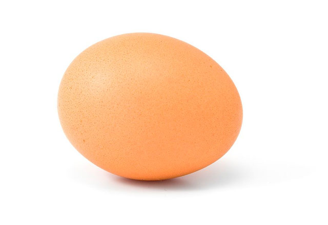 egg-ruhlman.jpg
