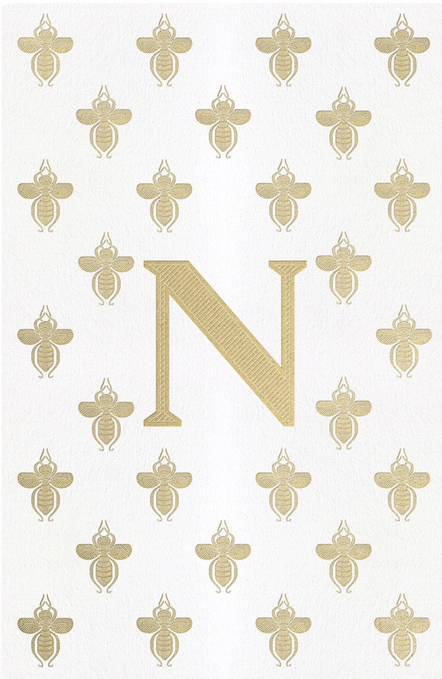 Napoleon The Great Book Cover