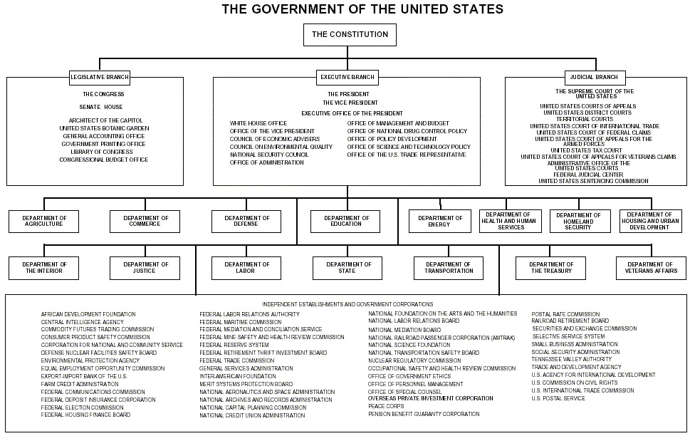 US Govt Org Chart