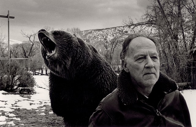Werner Herzog Bear