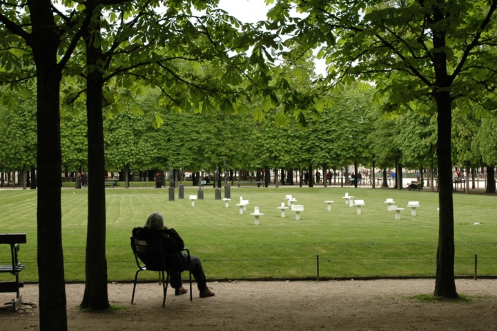 Old man and the lawn