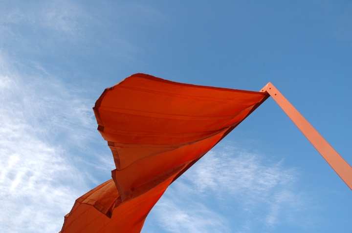 Flapping in the wind