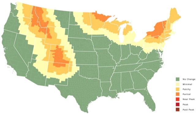 2015 Foliage Map