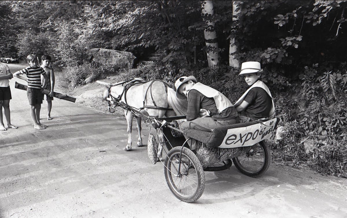 two young boys riding in a pony cart