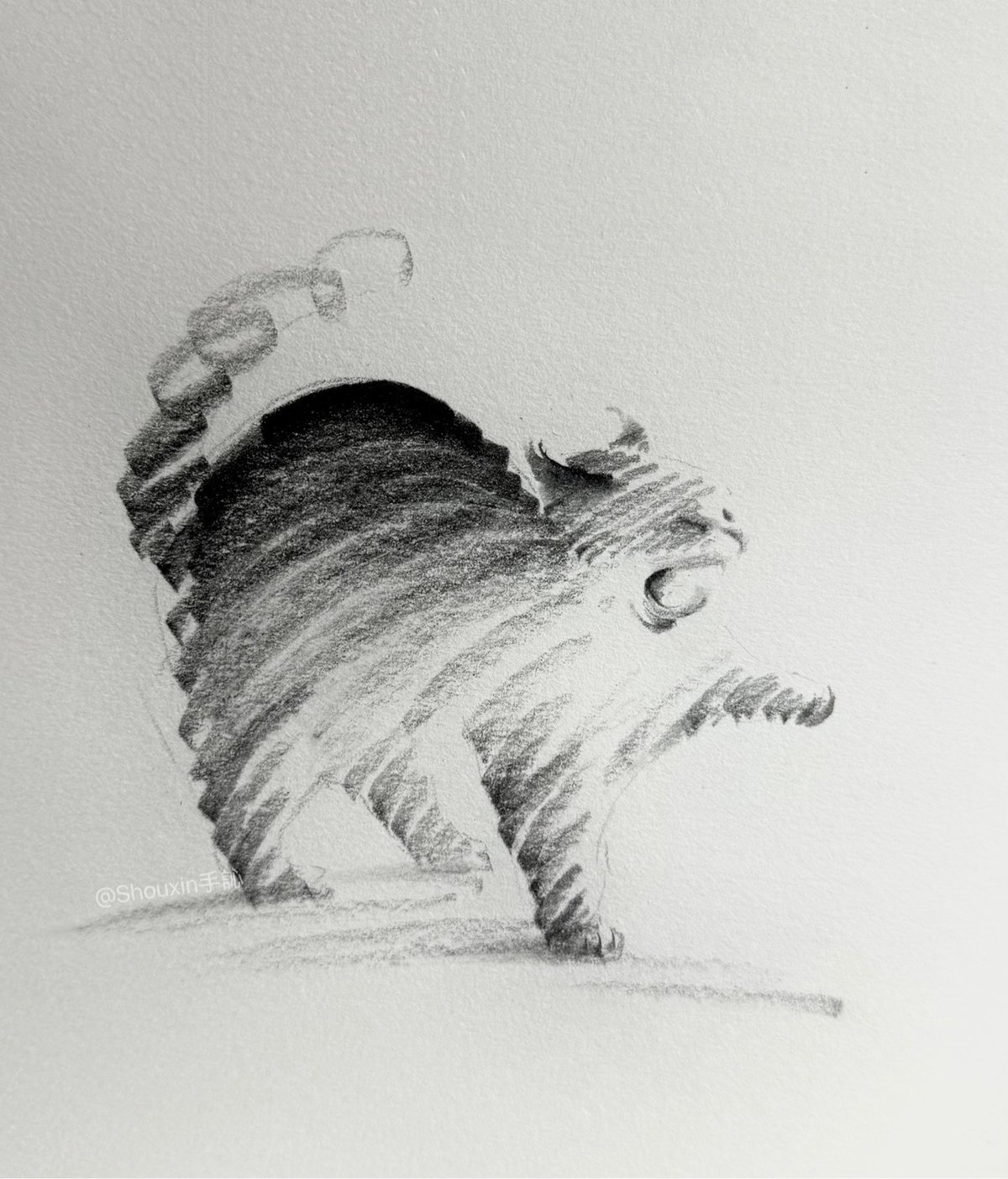 a graphite drawing of a cat in thick strokes