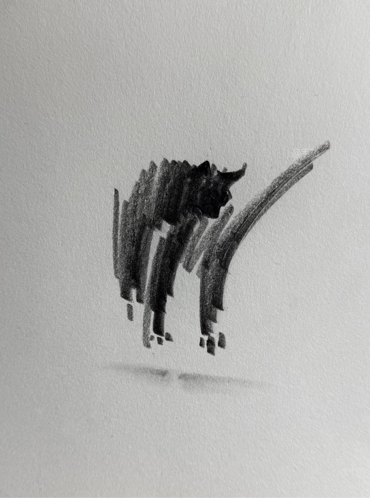 a graphite drawing of a cat in thick strokes