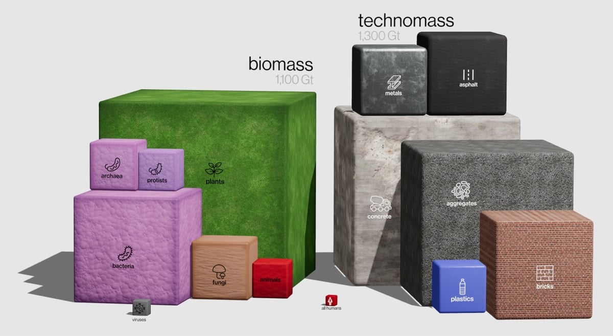 two groups of blocks, one of the biomass and the other the technomass