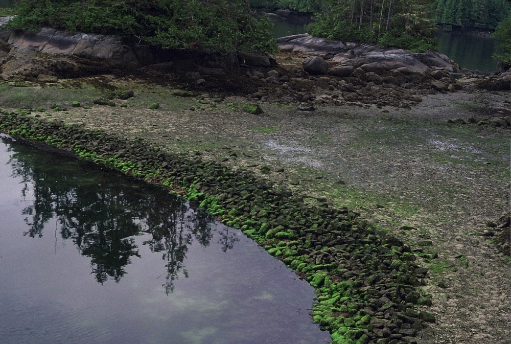 Clam Gardens