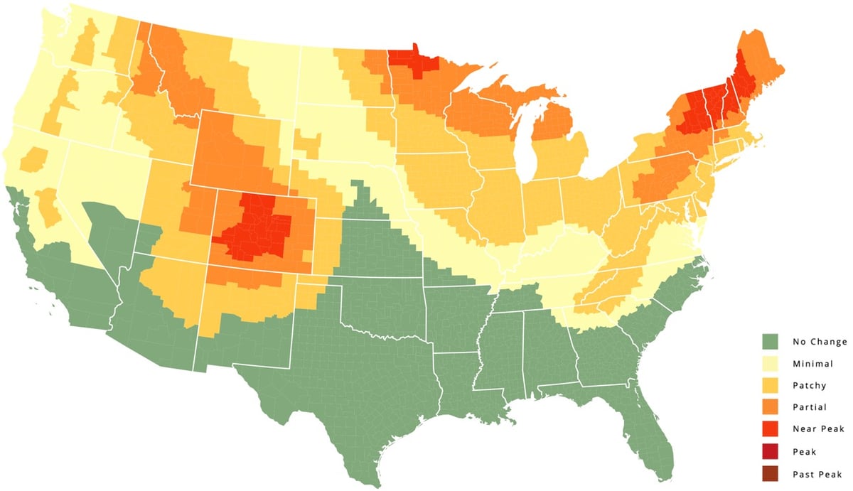 Foliage Map 2016