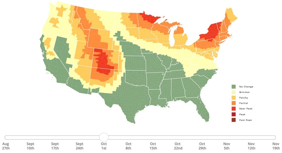 Foliage Map