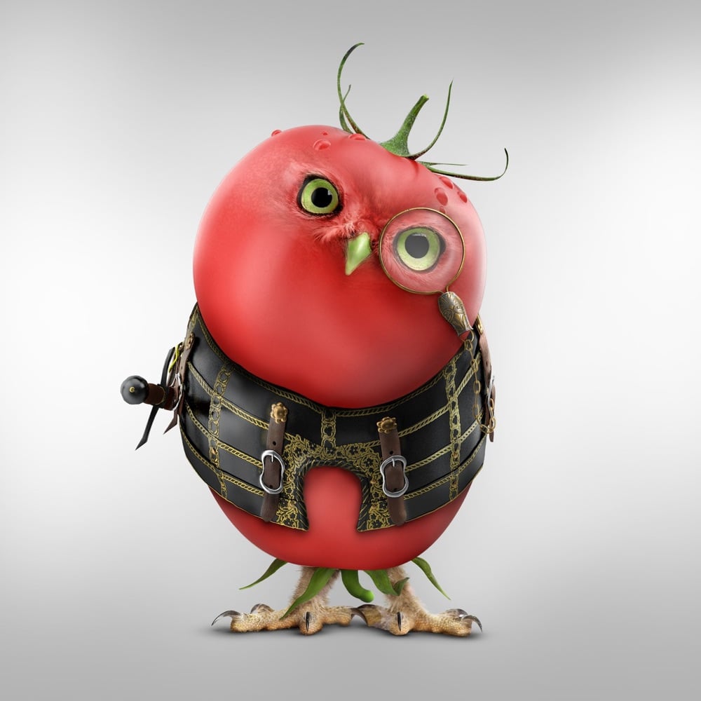 tomato owl