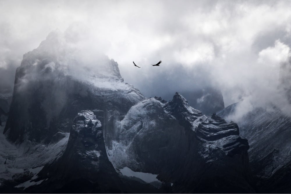 a pair of birds fly over a craggy mountain peak
