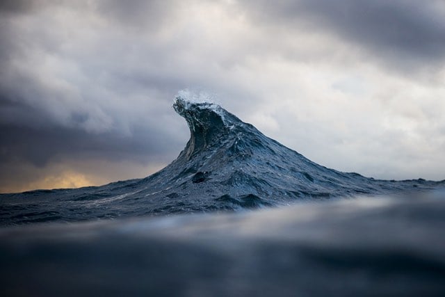 Ray Collins