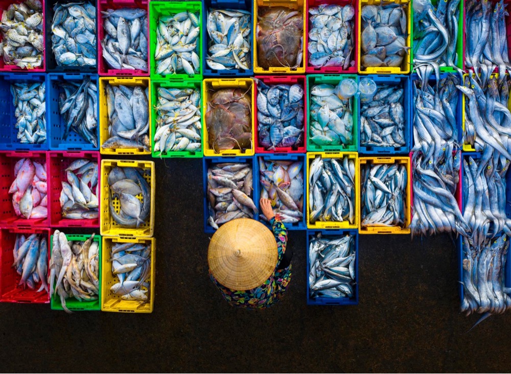 an overhead view of a person surrounded by containers of fish