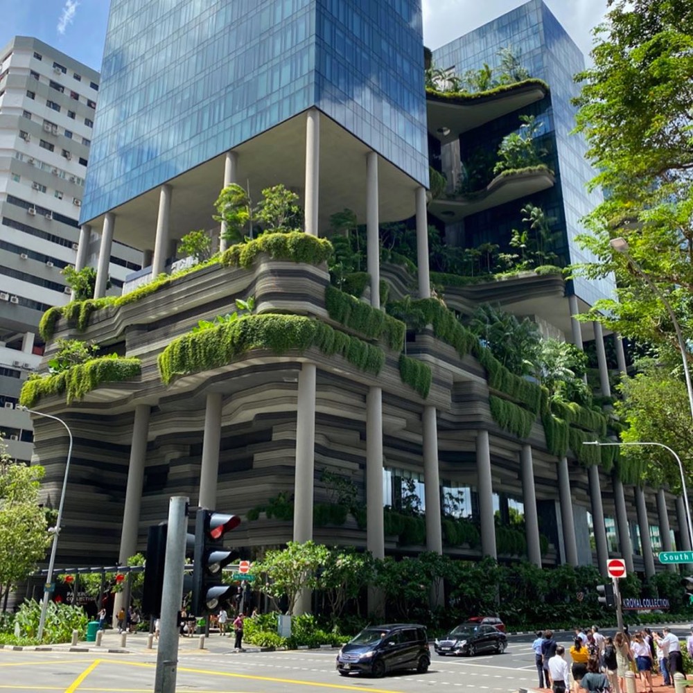 Gardens spilling over from a Singapore hi-rise
