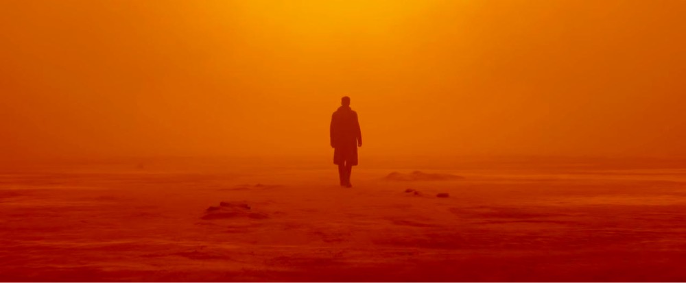 character walking away from the camera in Blade Runner 2049