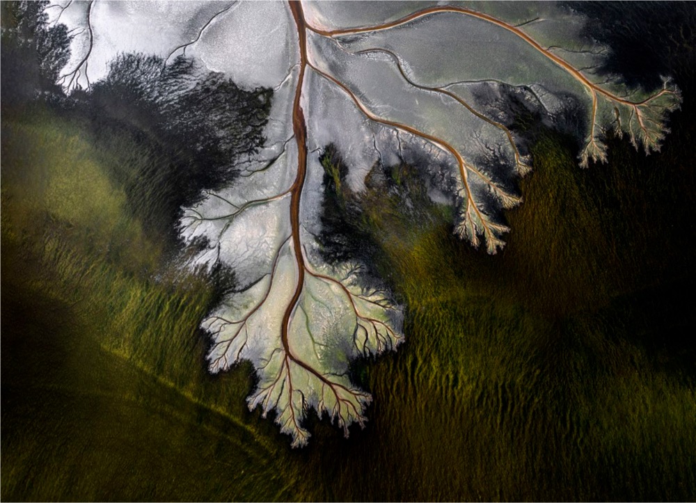overhead view of a river delta