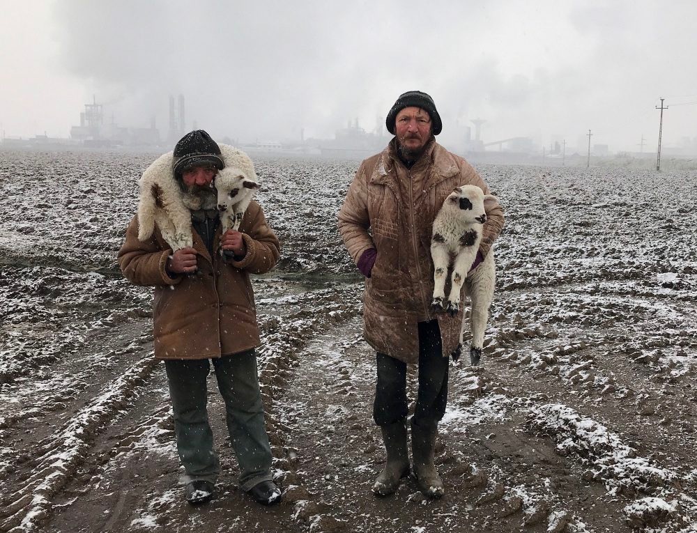 two shepards in Romania carrying lambs