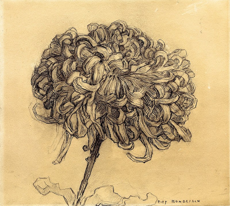 mondrian-chrysanthemum.jpg