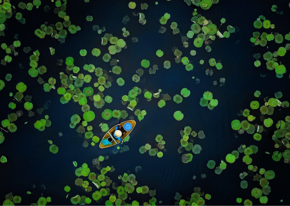 an overhead view of a boat surrounded by lily pads