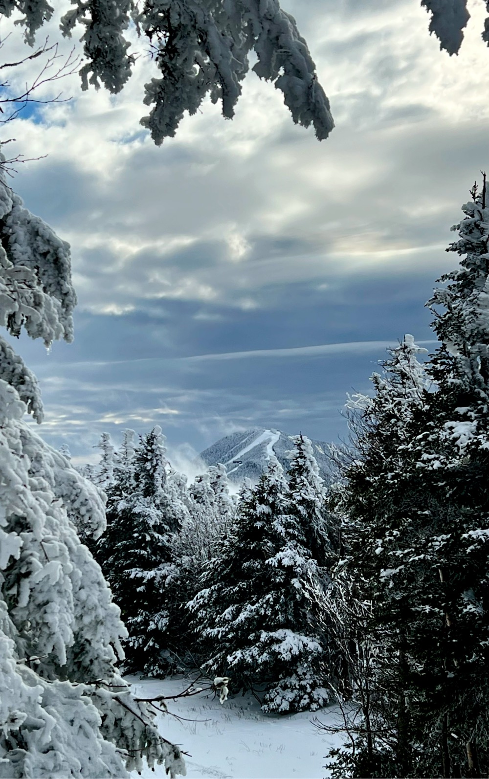 a snowy peak through the trees