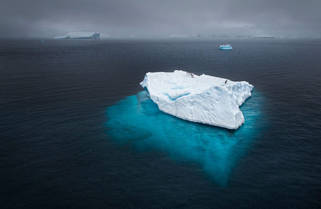 Penguin Iceberg