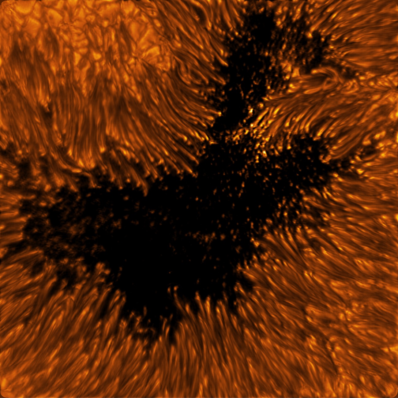 closeup shot of a sunspot taken with the Inouye Solar Telescope