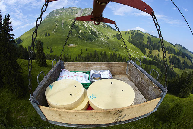 Swiss Cheese Journey