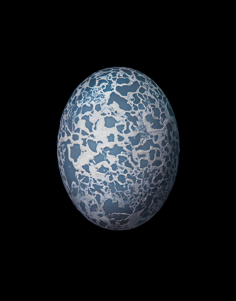 a mottled blue bird's egg