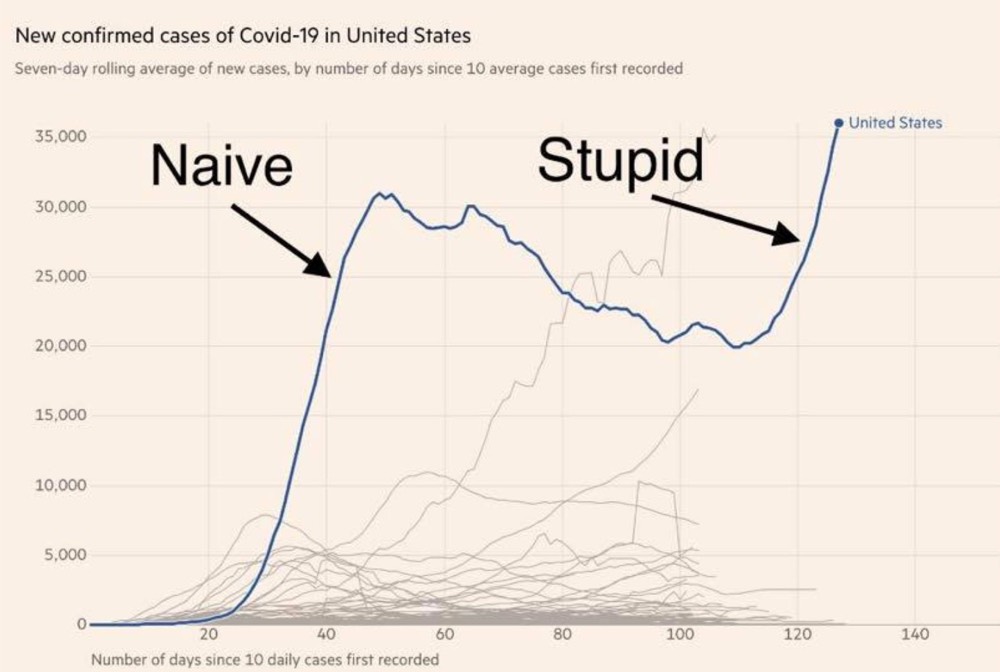 US Covid Stupid Graph